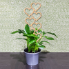 Heart Plant Trellis